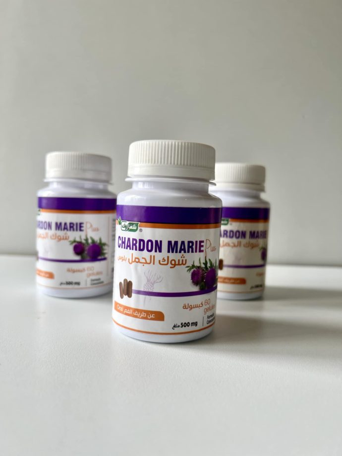 شوك الجمل chardon marie - Image 3